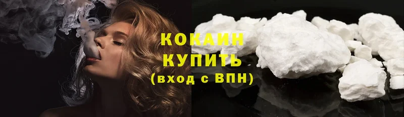 купить закладку  Воркута  Cocaine Эквадор 