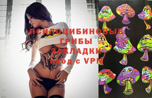 прущая мука Верхний Тагил