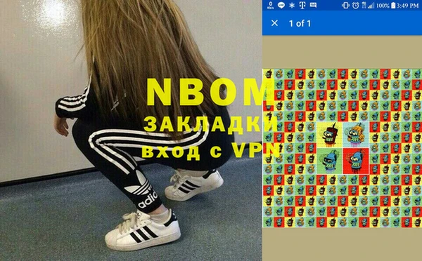 сатива Бронницы