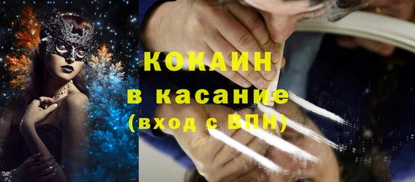 сатива Бронницы