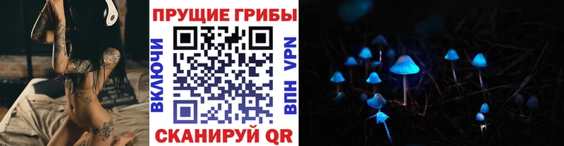 OMG маркетплейс  Воркута  Псилоцибиновые грибы Psilocybine cubensis  закладка 