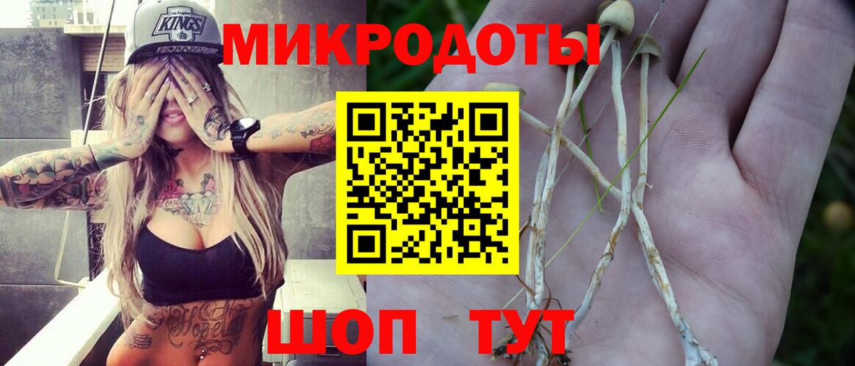 Галлюциногенные грибы прущие грибы Воркута