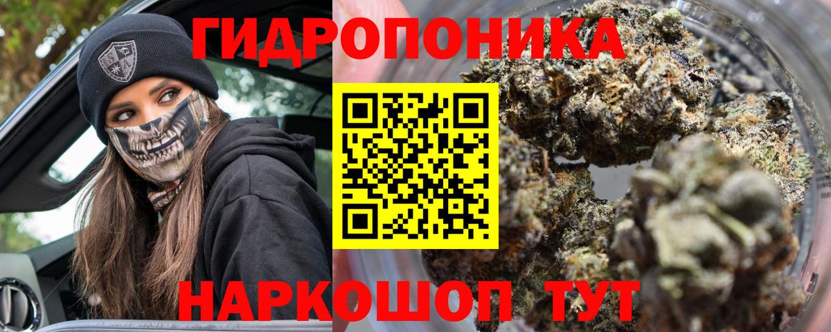 Конопля индика  Конопля сатива  Шишки марихуана план  МАРИХУАНА OG Kush  Воркута 